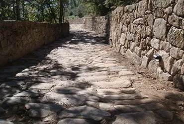 Proyecto VIPECA