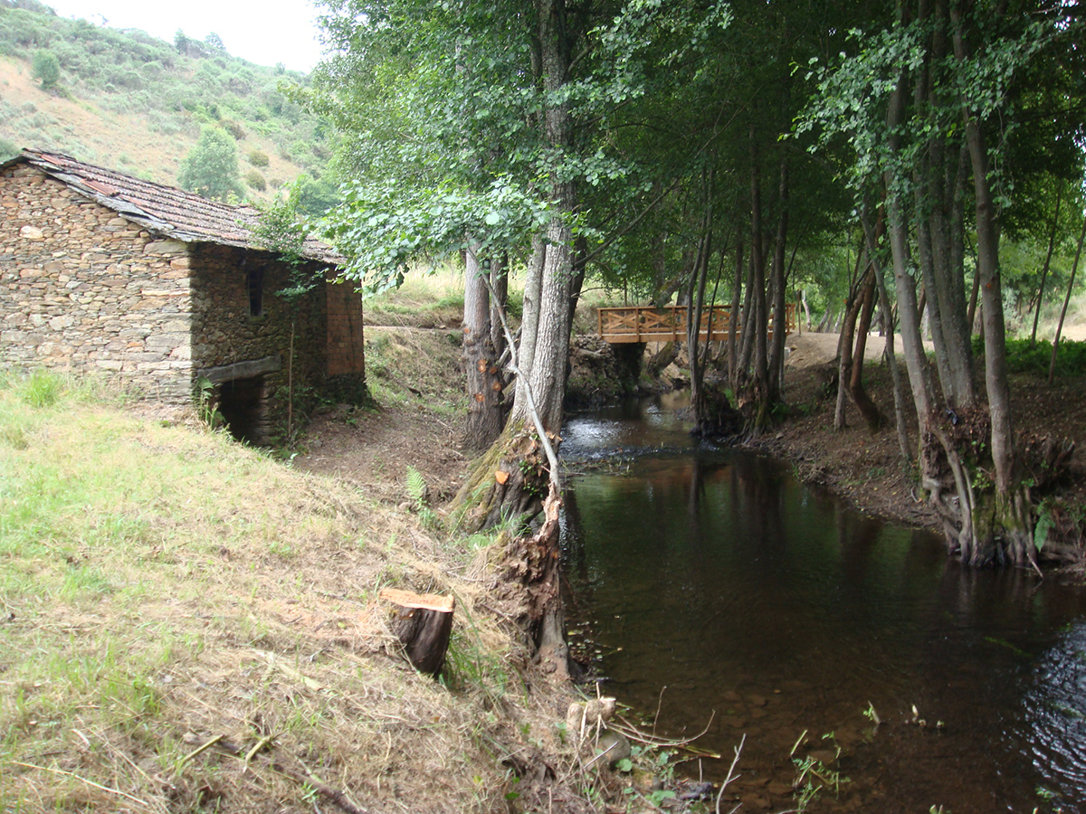 Recuperación ambiental de los ríos Arzoá, Barxas y Arzádegos, T.M. de Vilardevós